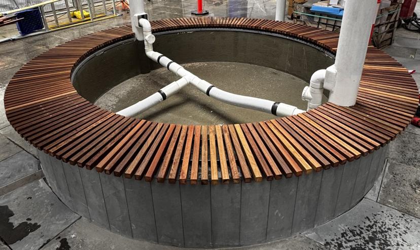 LNCT Building Group Project 4